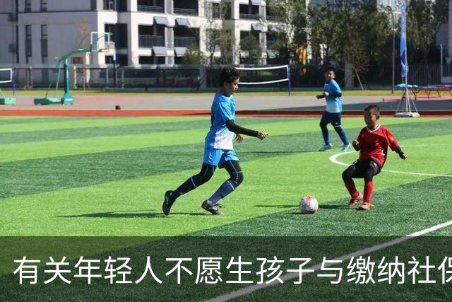 有关年轻人不愿生孩子与缴纳社保的深层思考